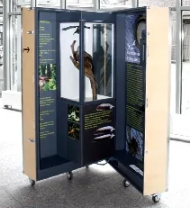 display cabinet